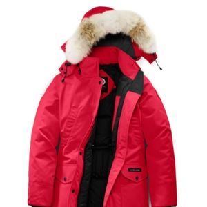 **sold**Canadian goose trillium SM